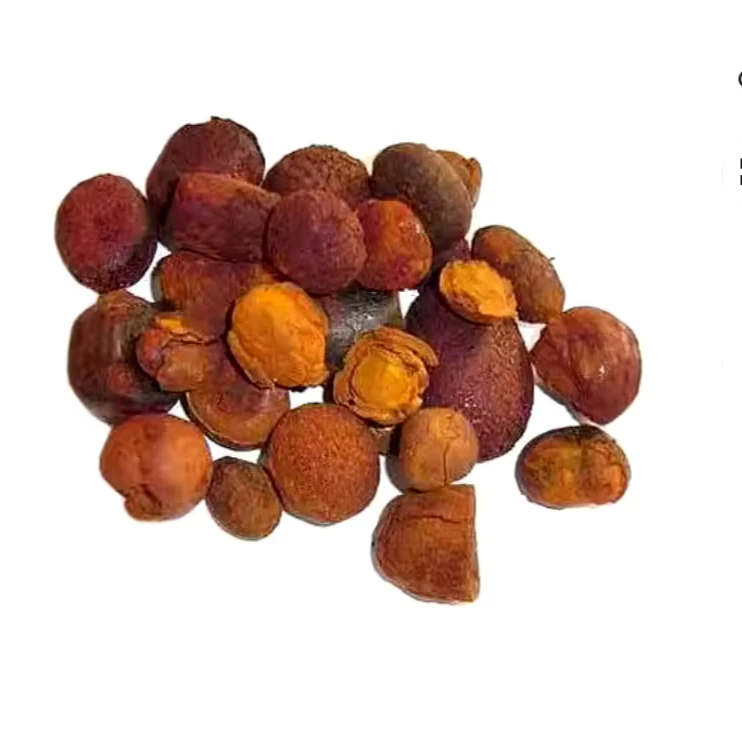 ox gallstones cattle gallstones cow gallstones