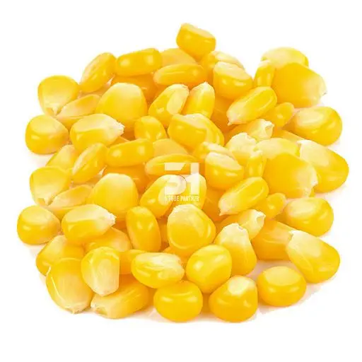 Supplier Of Vegetable From Viet Nam - Sweet Corn Best Quality Cheap Price Ready To Ship