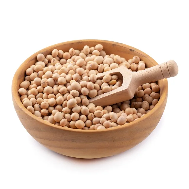 High Quality GMO and Non GMO Soyabean/Soybean for Sale