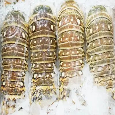 Souther Red Rock Lobster Frozen lobster tail Seasoned 100% Pure Lobster Tails