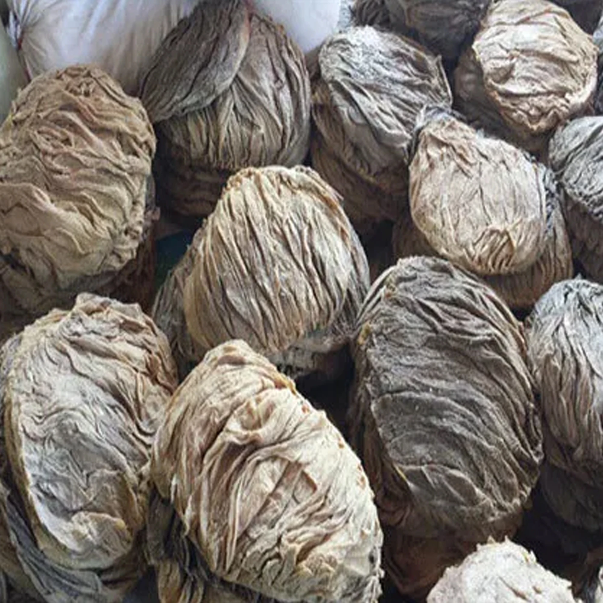 Hot Sale High Quality Exported Professional Manufacture Cheap Price Custom Beef Dried Frozen & Fresh Omasum From Bangladesh