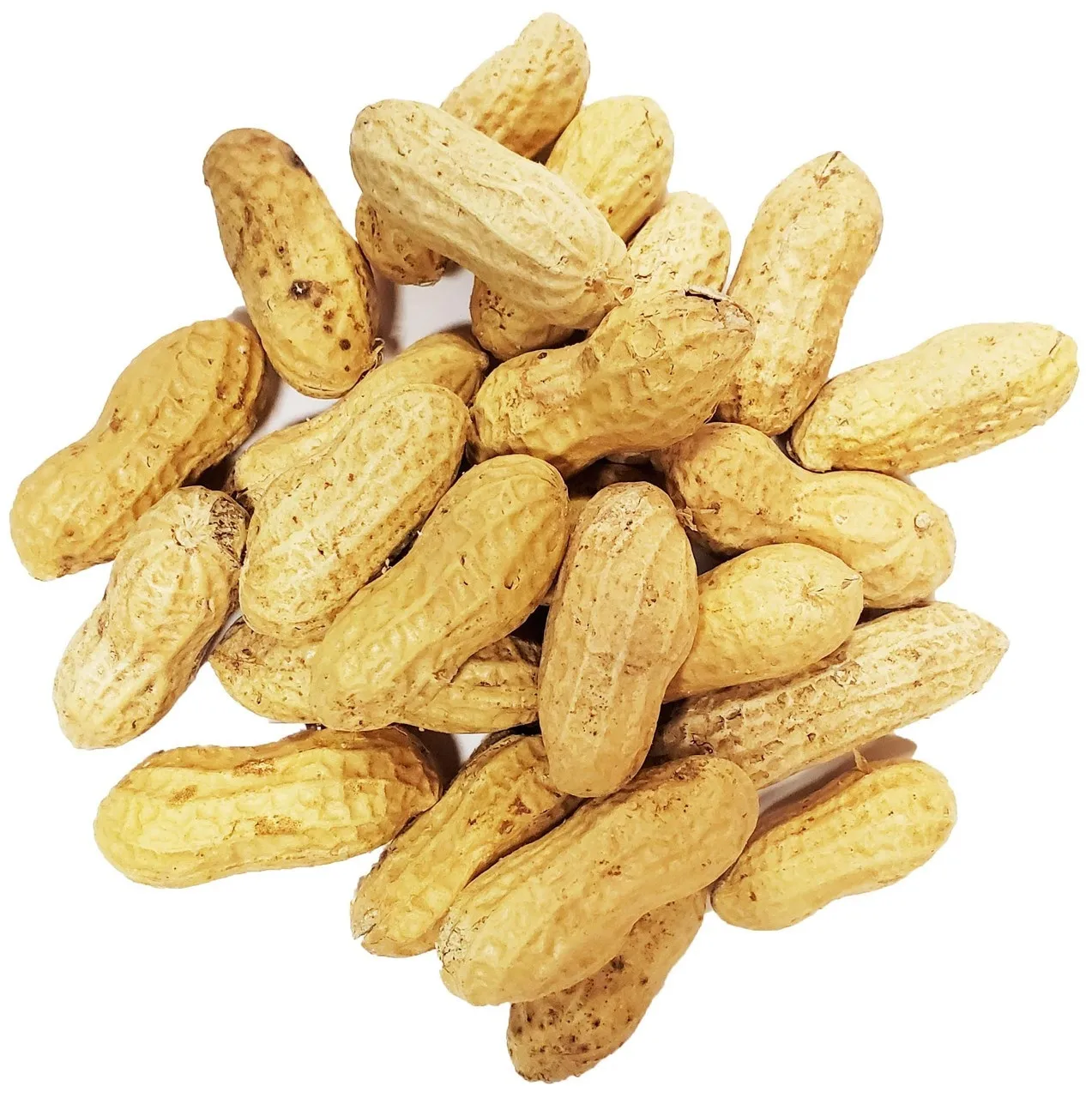 Rich in protein Rich organic protein Kernel Raw Peanuts Kernel Peanut