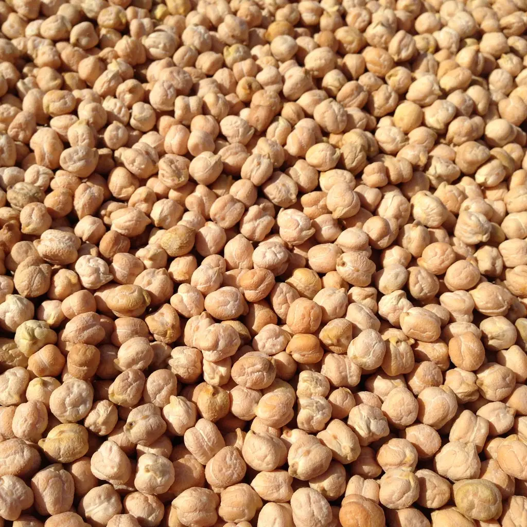 CHICK PEAS