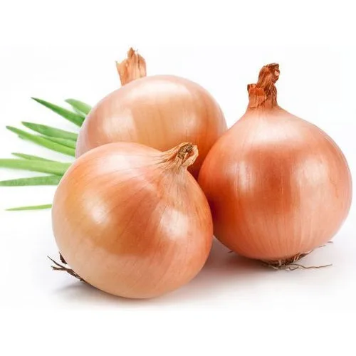 Fresh yellow Onion  wholesale prices  ready stack bulk supply from India