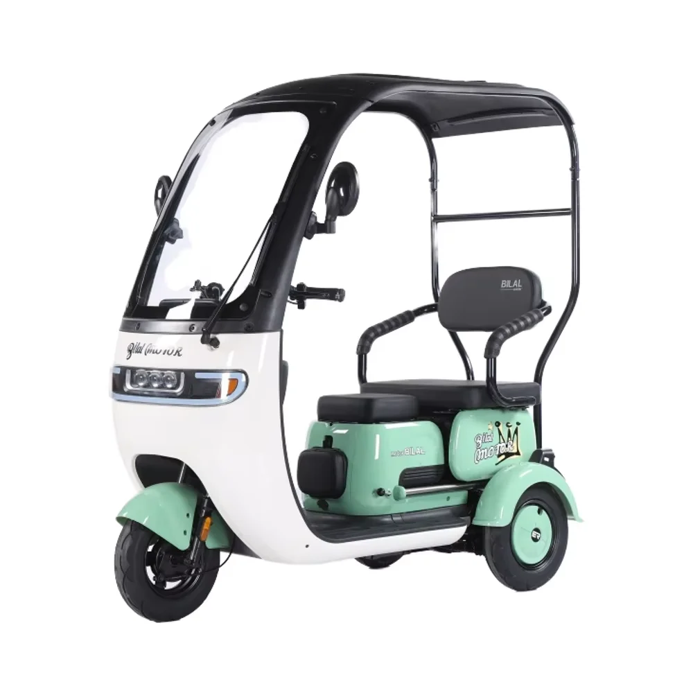 2025 CE 600w Tricycle Electric Bike Panama Auto Rickshaw Motorcycle Taxi Three Wheel Argentina