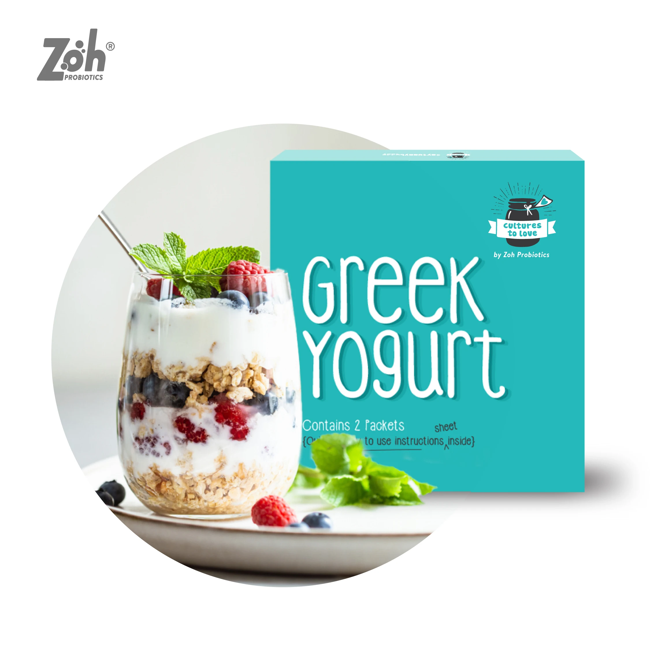 Модный вкус замороженных биотиков греческий йогурт для начала здорового дня доступен по оптовой цене от индийского экспортера