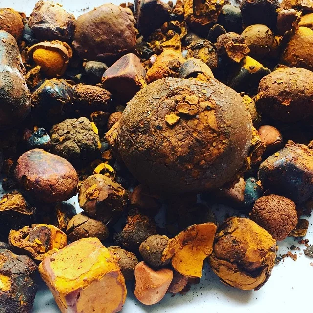 South Africa Natural and Pure top Quality Ox Gallstones Cattle Gallstones Cow Gallstones Animal feed for sale