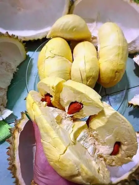 Fresh Durians Fruit Monthong Durian Sweet and Delicious Natural 100% from Thailand Premium Quality First Grade