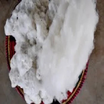 100% Organic Raw Cotton with good price from Tanzania Origin