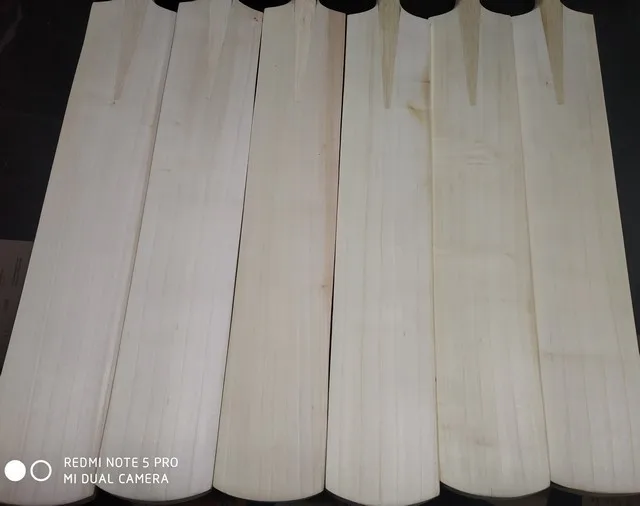 Customized English Willow High Quality Top Grade Cricket Bat