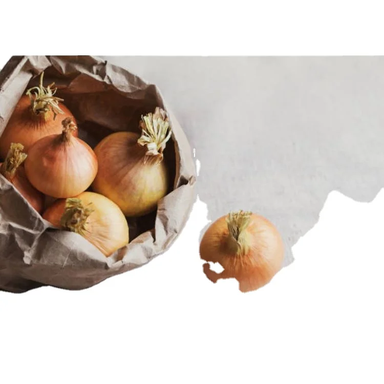 50mm Onion Golden Onion Fruits in 30Kg Net Mesh Bag Packing (11000003200965)