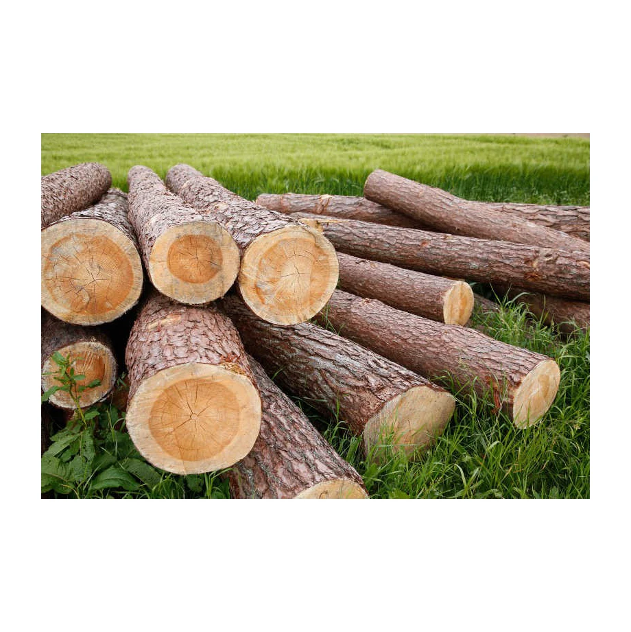 2x4 Упаковочная древесина тополь древесная фанера для строительства