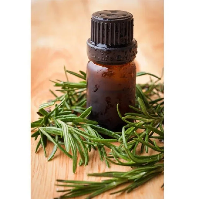 High Quality Rosemary Oil Manufacturer from India