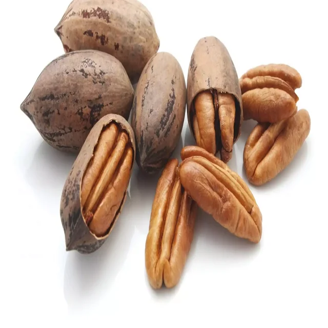 New Crop Good Quality Almond Walnut Pecan Pistachio Pecan Nuts Raw 100%Natural Pecan Nuts