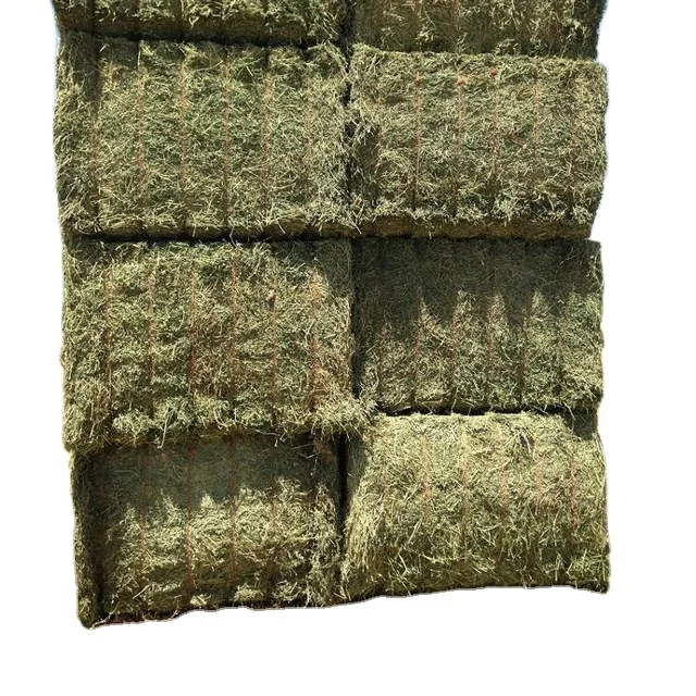Alfalfa Hay for Animal Feed at wholesale price Alfalfa Hay