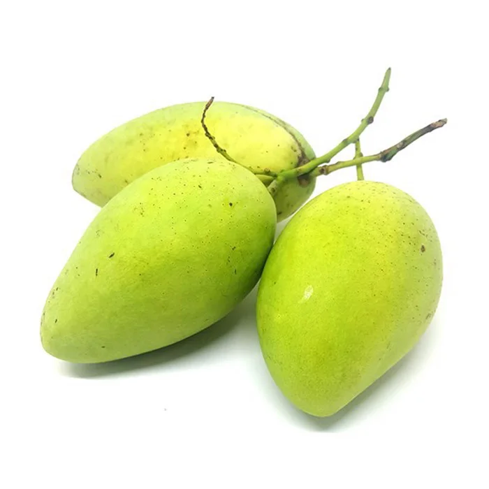 Fresh Mango In Syrup From Vietnam With High Quality Canned Mango in light syrup Original Taste