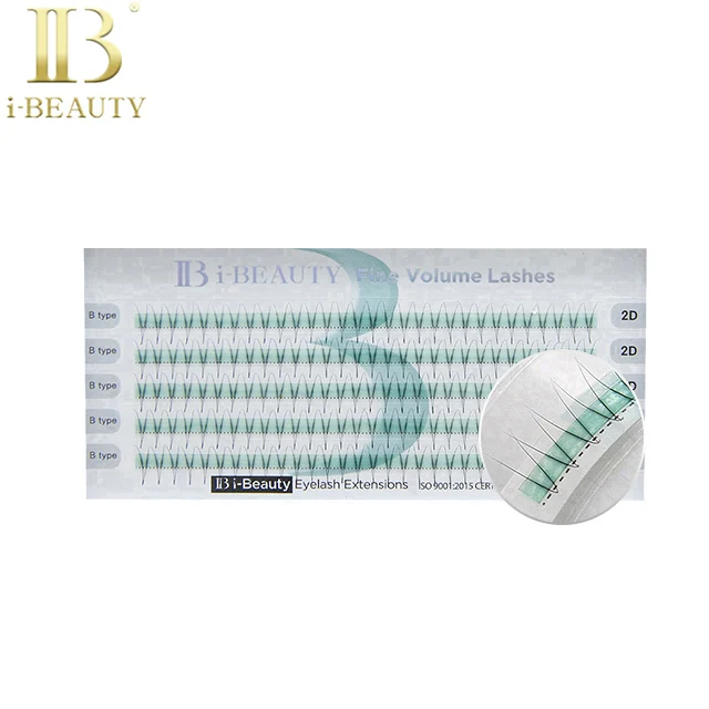 Eyelash Extension - Pre-made fan FINE VOLUME LASHES Horizontal 2D lash B type ib lash SF-VH2D