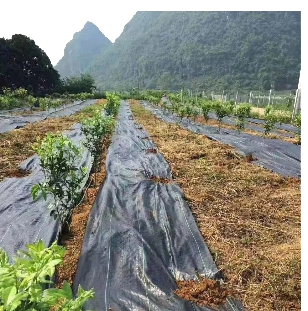 Factory Low Price Soil Erosion Control and UV Stabilized Prevent Grass Growth Ground Cover Landscape Fabric
