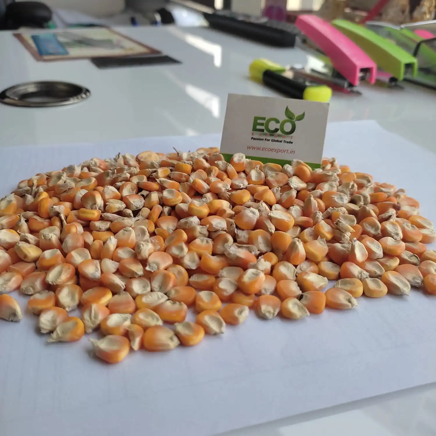 Agricultural Products Yellow Maize Cattle Food