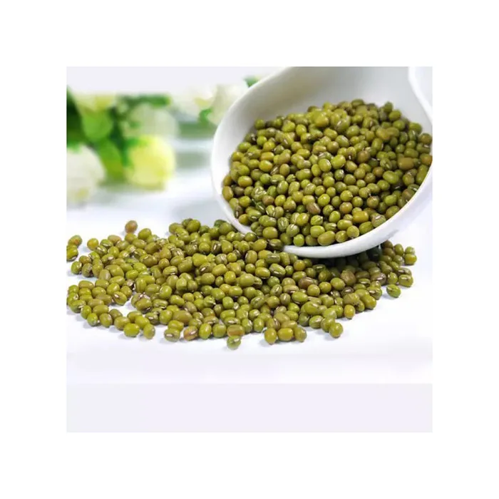 Wholesale Best Quality Organic Green Mung Beans Available in Bulk for Sale at Cheap Price-Dried and Fresh Styles