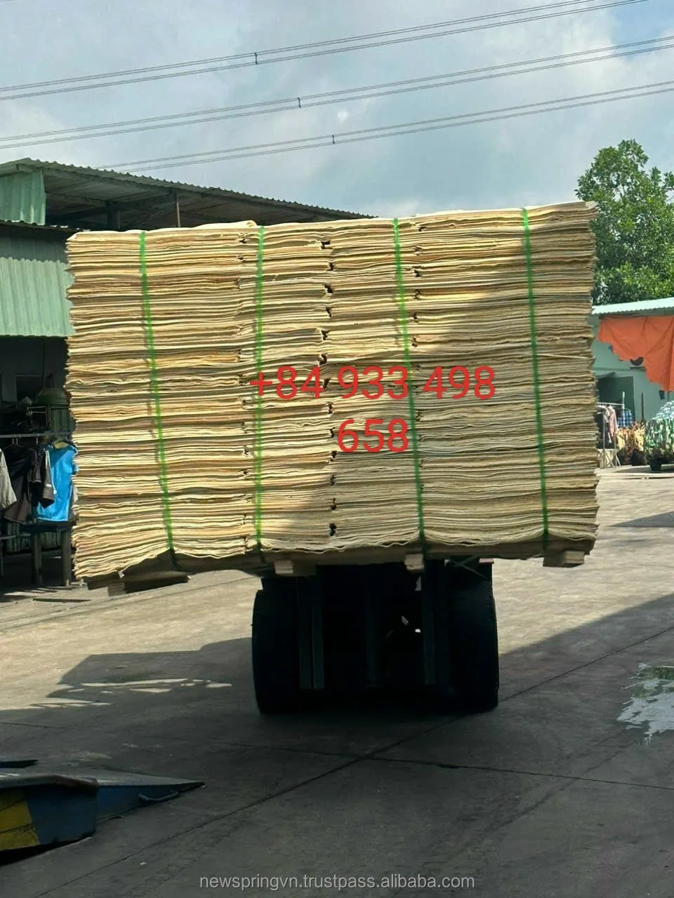 Best Price Vietnam Manufacturer Eucalyptus Vietnam Core Veneer for Plywood