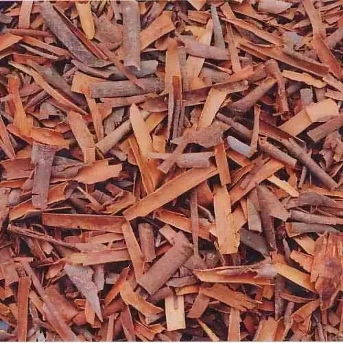 Product With Best Price Wholesale High Quality From Manufacture Cassia Broken with skin Origin Vietnam