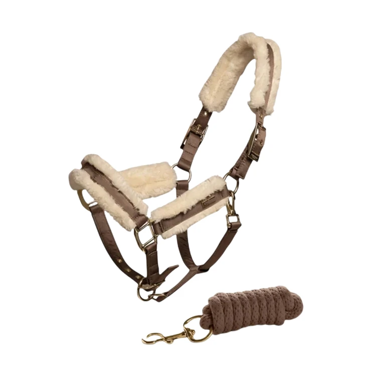 Accessories Breathable Mesh Tendon Boots Premium Quality Horse Leg Wraps Horse Boots Equine Leg Protector