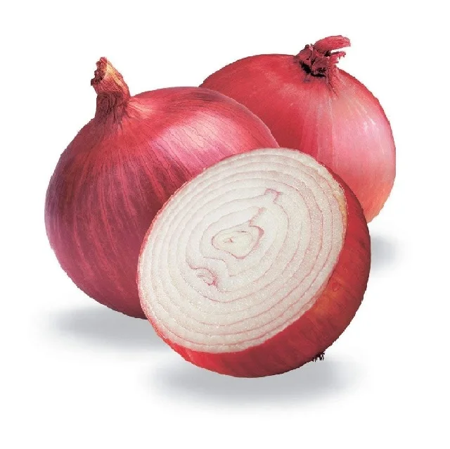 Fresh Red Yellow Onion 6 - 8 mm 2023 Newest Crop Export Quality Fresh Yellow Onion Round Within 7 Days Yellow Red Onion