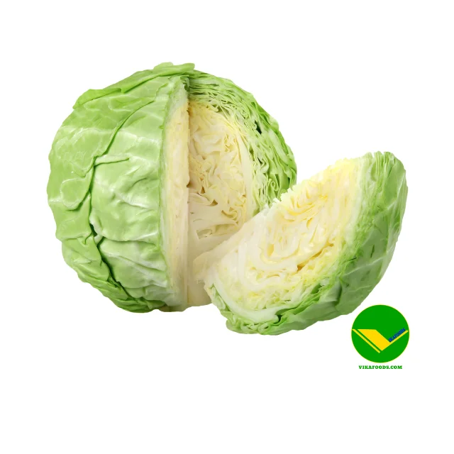 Свежая капуста из Вьетнама питательный и удобный раствор с вкусным вкусом для импортеров