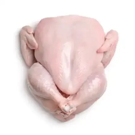 Brazilian Complete Chicken High Quality chicken Meat Wholesale Prices Fresh Frozen Halal Frozen Chicken Feet/Paws for Sale