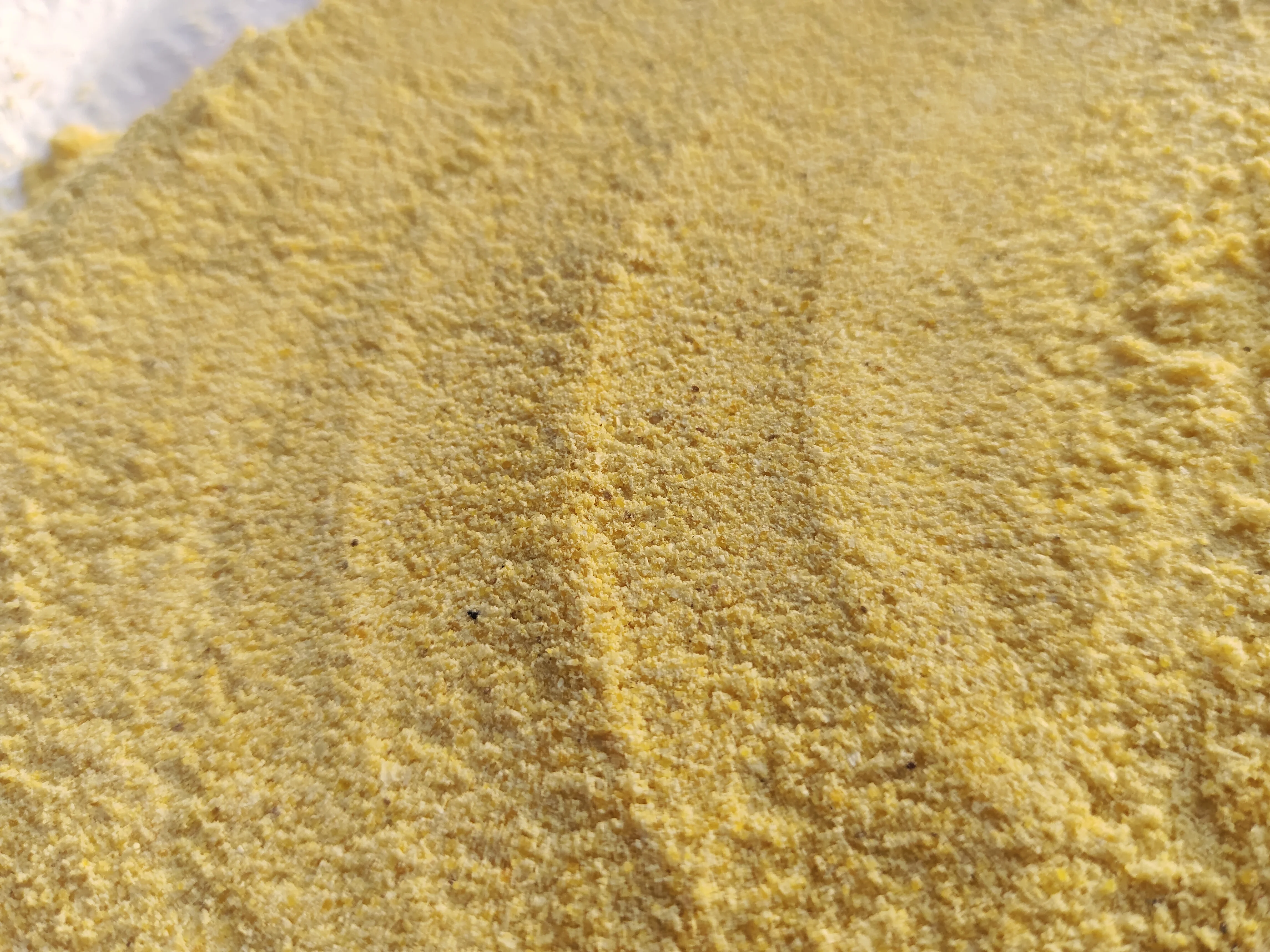 Premium Quality organic Yellow Corn Maize Powder for  healthy Cattle makka atta maize flour gluten free pure corn flour 50kg