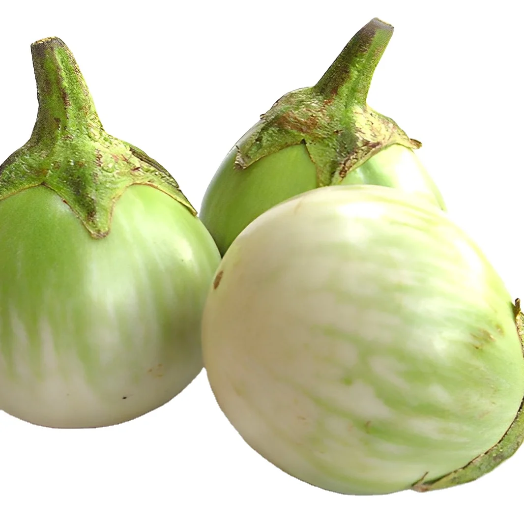 Fresh Round Egg plant From Thailand Fresh Vegetable Ready to export Premium quality Fresh Round Egg plant