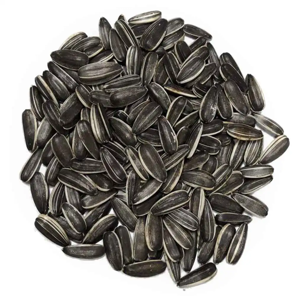 High Quality in Sale Hulled 361 Sunflower Seed Ton Price Sunflower Kernels Sun Seeds Raw Striped Sunflower Seed