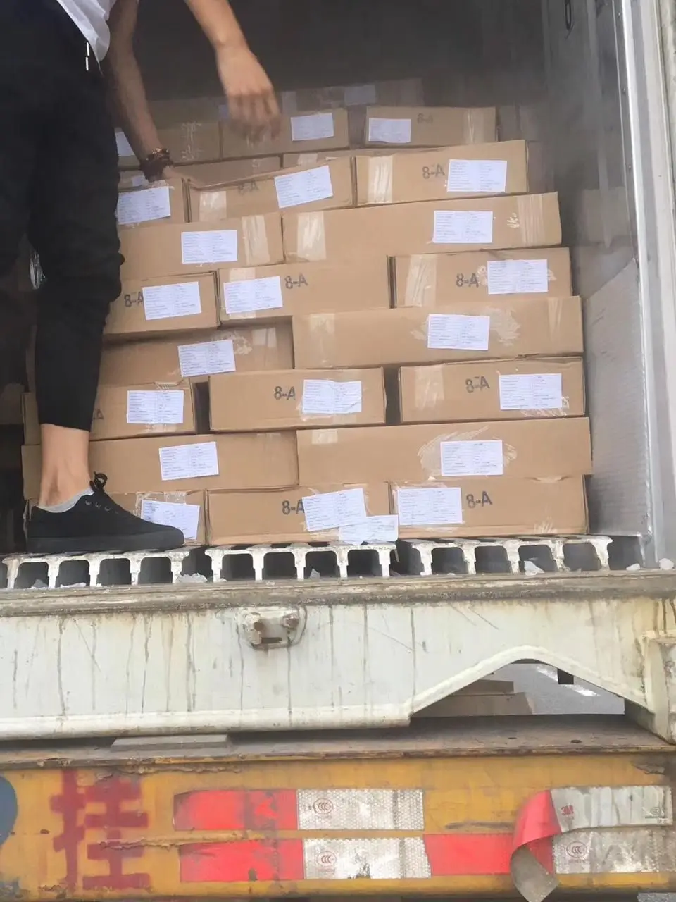 Wholesale Frozen Chilled Squid Frozen Giant Squid Seafood Supplier