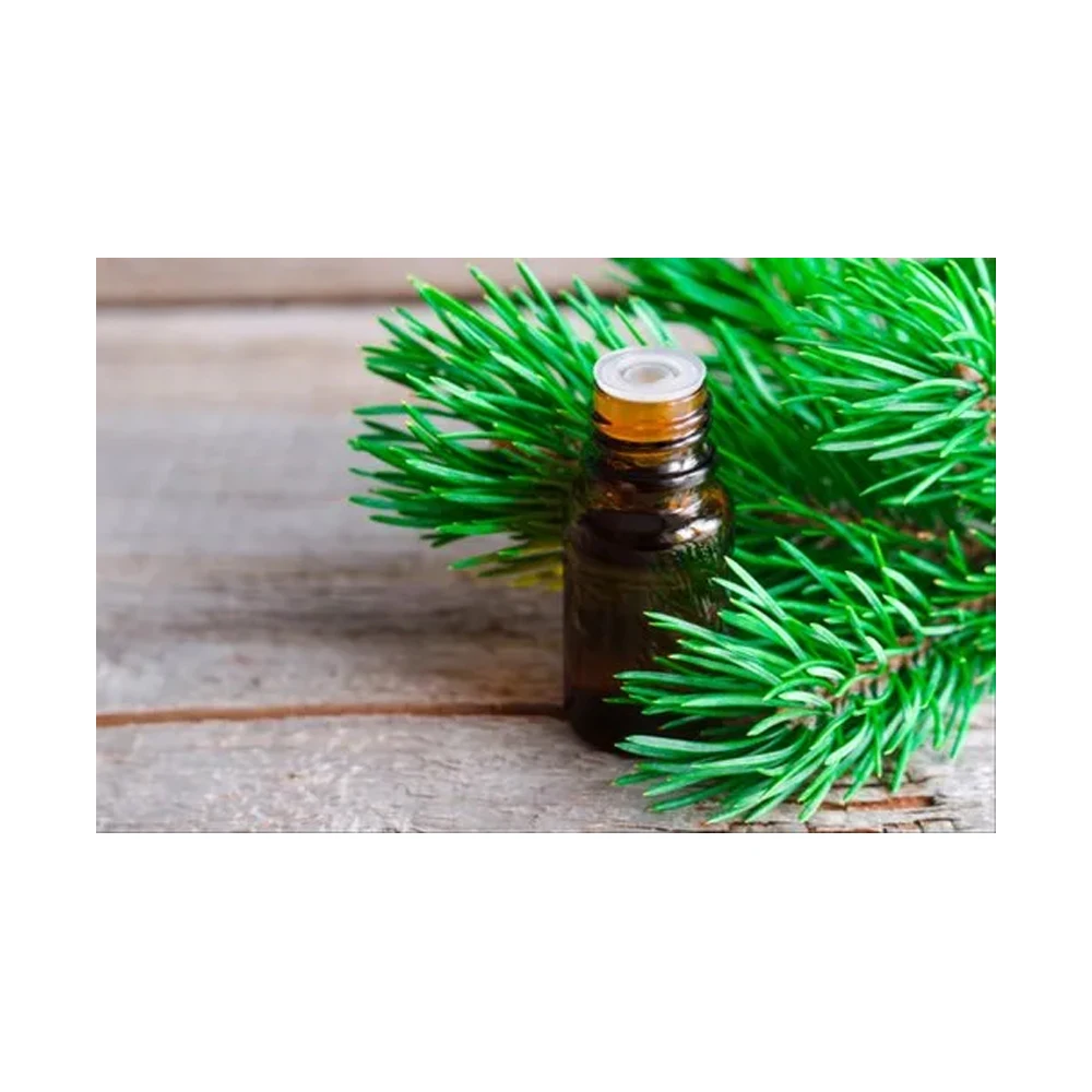 Best Quality Custom Logo Pine Needle Siberia Oil Essential Oil At india Manufacturer