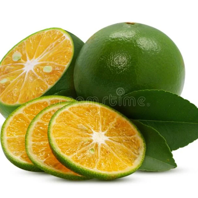 HOT SALE!!! FRESH CALAMANSI FRUIT in VIETNAM - HIGH QUALITY AND COMPETITIVE PRICE 2023