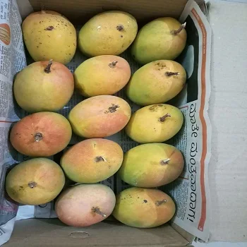 FRESSH MANGO.jpg