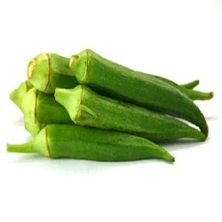 Quality Natural Fresh Okra/ Fresh Vegetable For Sale/hot selling Fresh Vegetables Okra