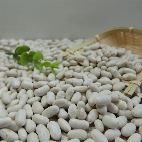 Wholesale Price Natural White Kidney Beans