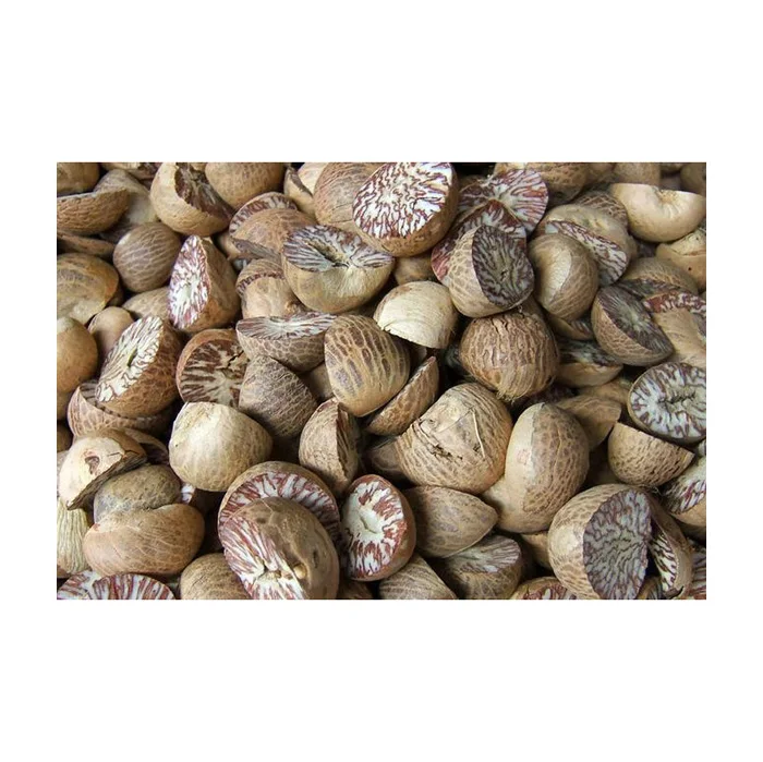 New Betel Nut Dried Supari In Hot Sale With High Quality Newly Crop Betel Nuts