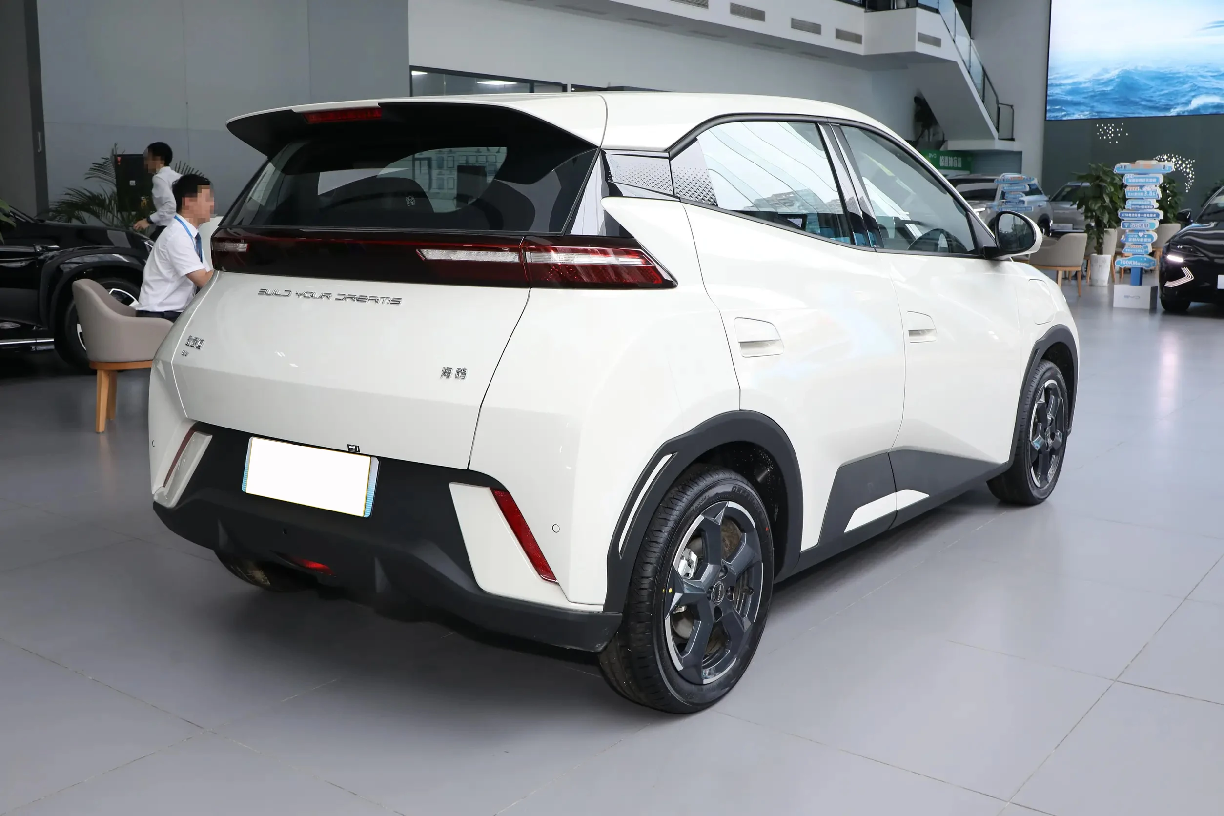 Byd Чайка 2025 405 км 305 дальность действия Новый энергетический автомобиль чистый электромобиль