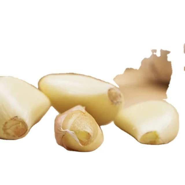 Garlic fresh Indian pure white garlic wholesale fresh vegetables 20kg mesh bag fresh white garlic