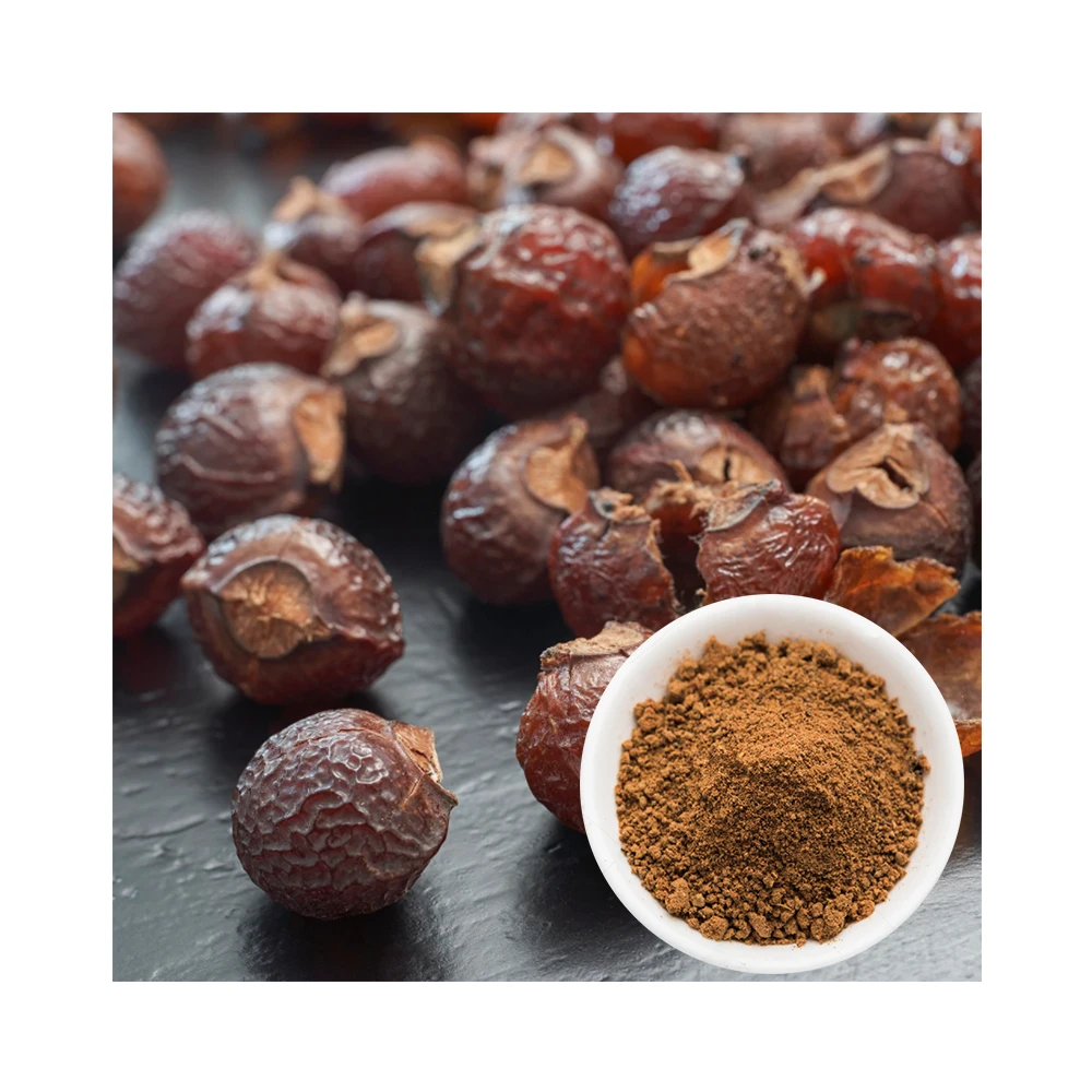 Best In Market Buy Soapnut Powder For Women Natural Hair Dye Powder Ready To Ship Worldwide
