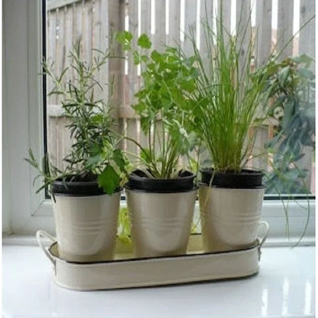 Antique Brass Golden Metal Designer Large Planters Garden Decoration Fancy Office Hotel and Resort Indoor and Outdoor Planters