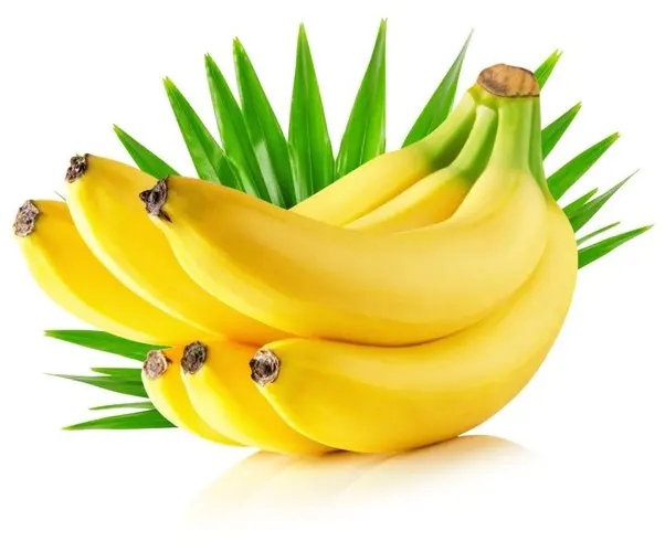 Свежие кавендишские бананы Ecuador высокого качества и вкусно