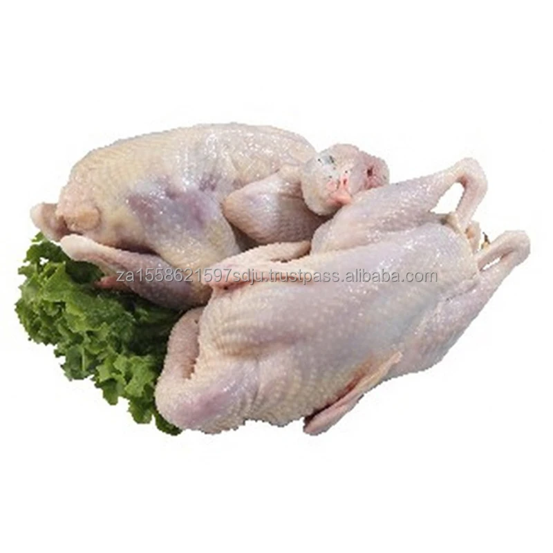 whole-chicken.jpg