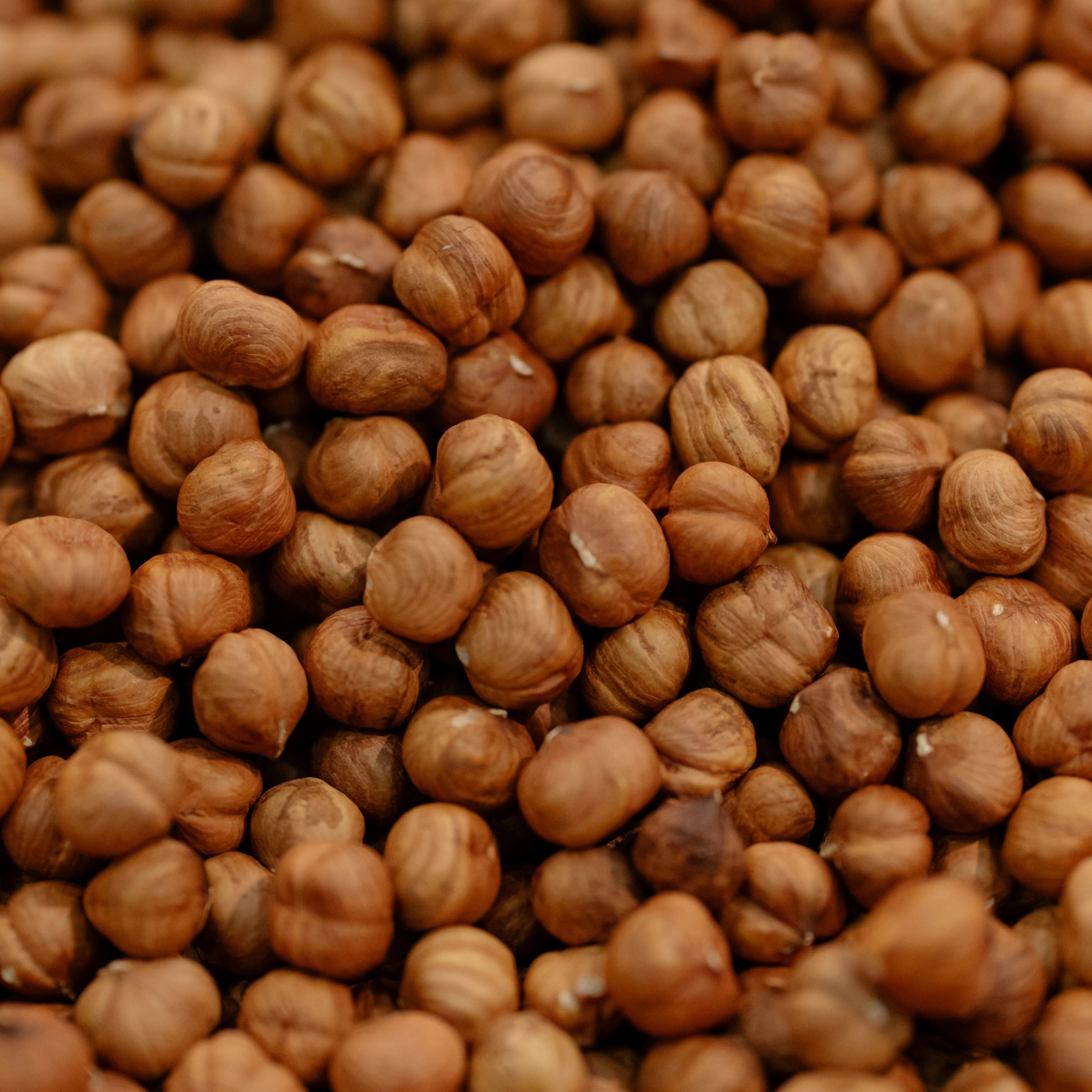 Raw Hazelnut Roasted Hazelnut in Bulk Premium Wholesale Hazelnut Turkey Origin Healthy Quality Turkish AGROWELL TURKISH GOODS