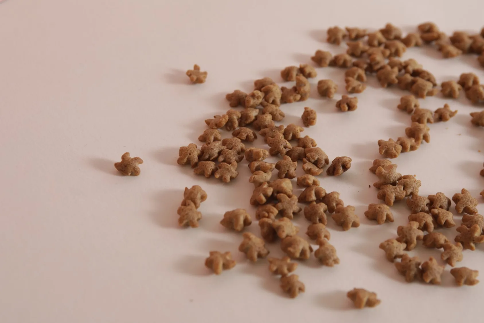 Salmon Dental Care Snack For Cat, Dog Rich Taurine