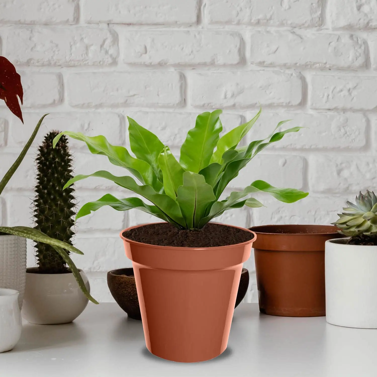 High Quality Plastic Material 10cm Garden Pot Set of 7 Terracotta Colour Light Weight Flower & Plants Pot