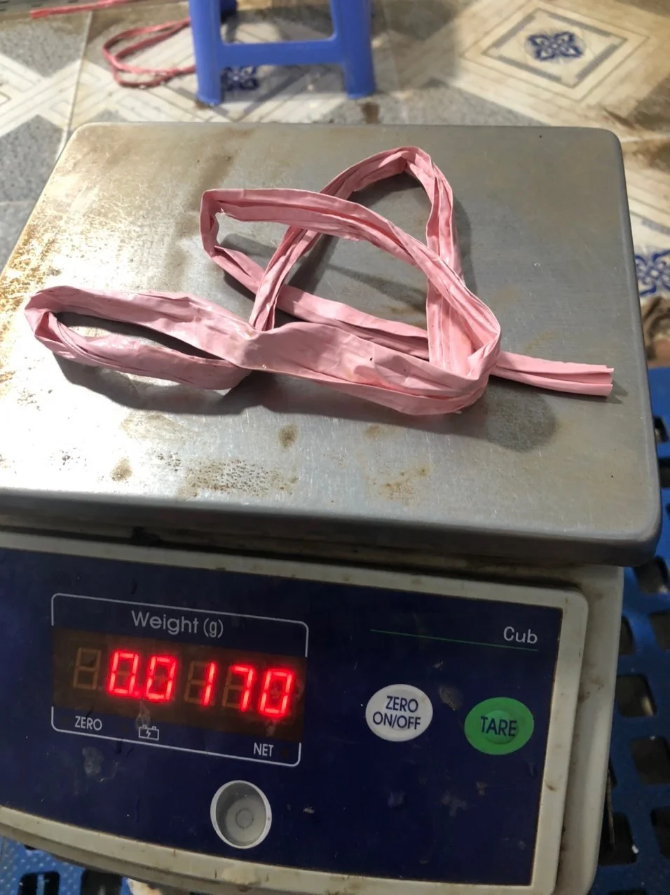 Premium Quality Exported Live Mud Crab Male Or Female Fresh Crabs For Wholesale Fresh Live Crab Live Mud Crab Live Seafood